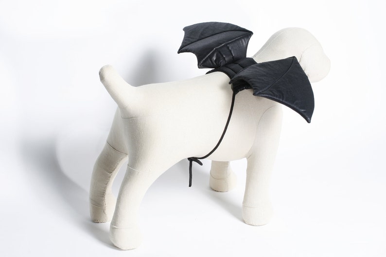 Bat Wings, Dog, Cat, Pet, Halloween Costume, Gothic, Comfortable, Easy Fit, For Photos and Fun 