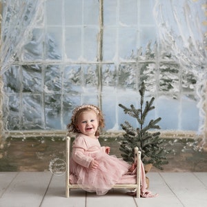 Winter Window - Printed Photography Backdrop - Christmas Backdrop - Christmas Photography Backdrop - Snowy - Lights