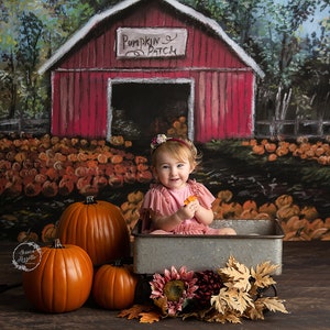 Fall Harvest - Halloween Photography Backdrop - Printed Photography Fall Backdrop - Halloween Backdrop - Professional Photography Backdrop