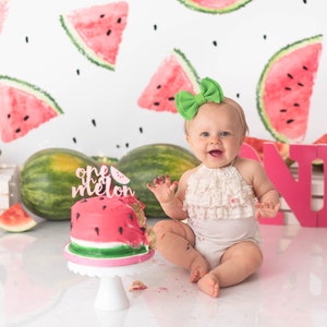 Melon - Printed Photography Backdrop - Watermelon Cake Smash - Summer Backdrops - Watermelon Theme Birthday Background - Gender Neutral Prop