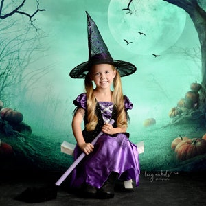 Approaching Dusk - Halloween Photography Backdrop - Printed Photography Backdrop - Halloween Backdrop - Professional Photography Backdrop