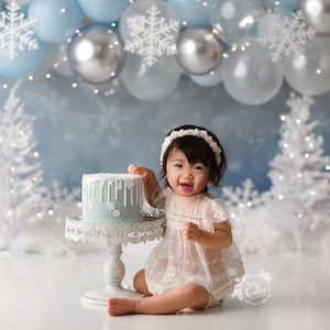 Northern Frost Wonderland - Printed Photography Backdrop - Winter Snowflake Background - Cake Smash Backdrops - Winter Onderland Birthday
