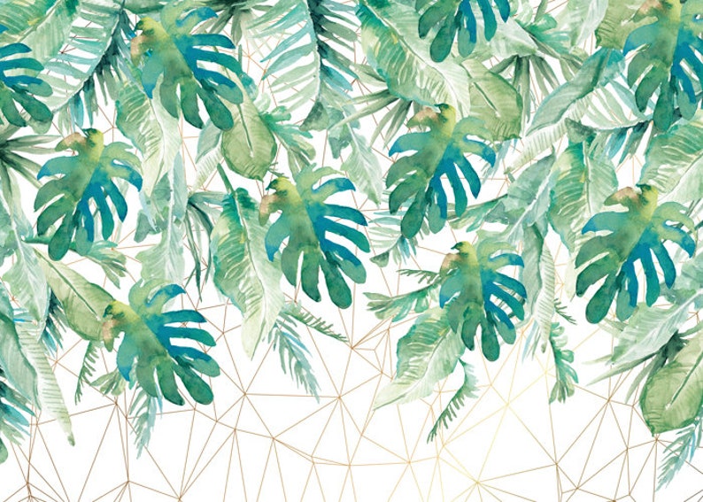Cory- Printed Photography Backdrop - Gender Neutral Background ...