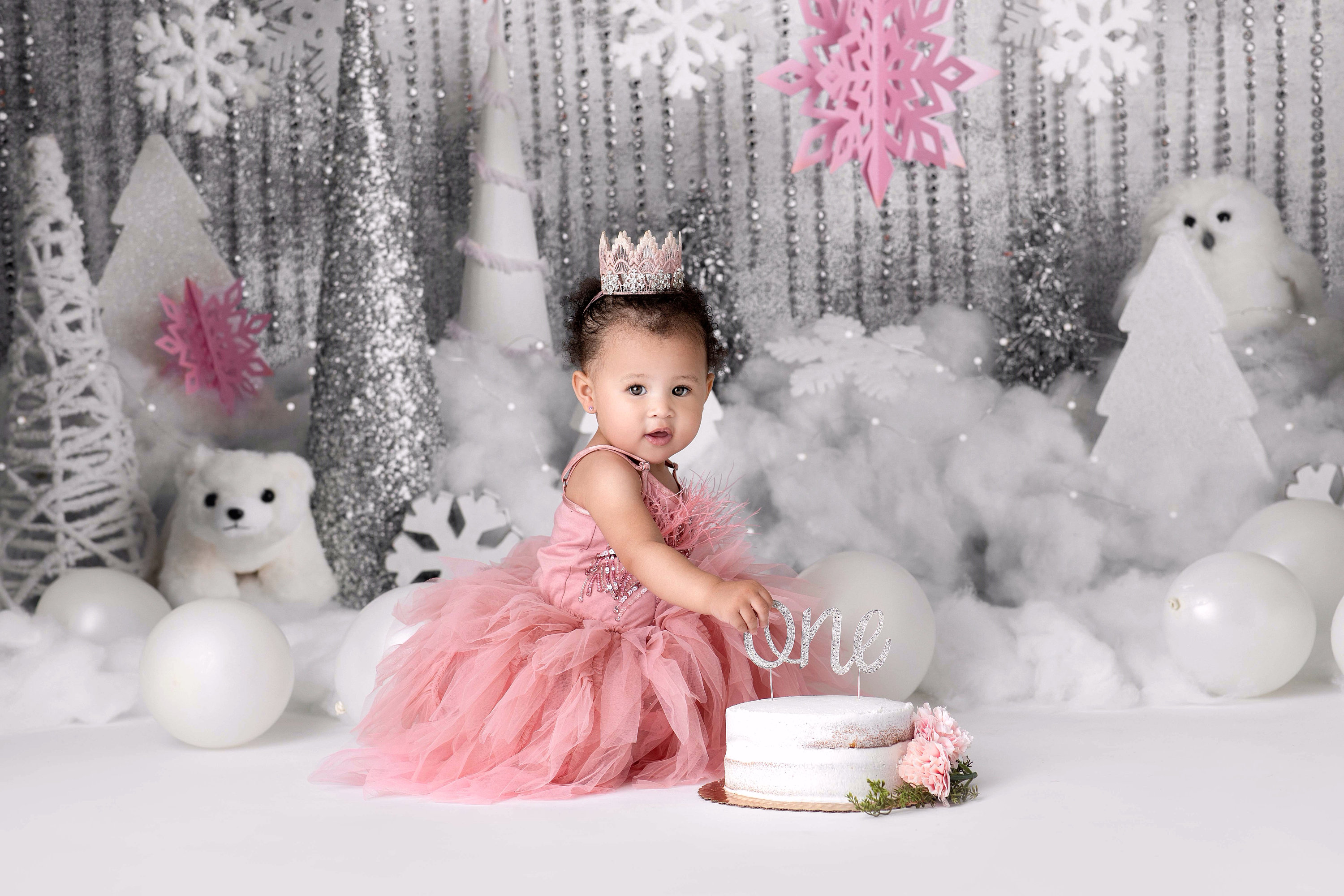 Winter Wonderland Printed Photography Backdrop Winter - Etsy
