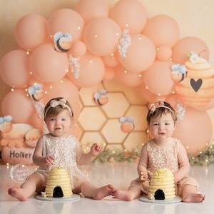 Honey Bee - Printed Photography Backdrop - Cake Smash Backdrops - Girl Cake Smash - Bee Hive Backdrop- Pooh Bear - Honeycomb Cake Smash