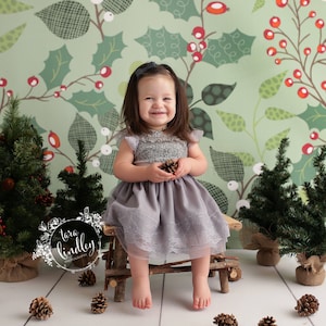 Green and Berry - Printed Photography Backdrop - Winter Backdrop - Christmas Backdrops - Christmas Garland Backdrop - Christmas Background