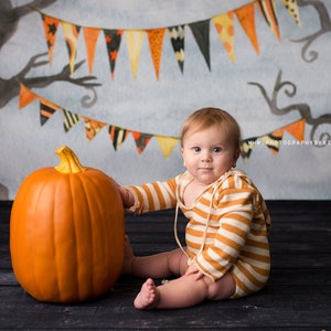 Casper - Halloween Photography Backdrop - Printed Photography Backdrop - Halloween Backdrop - Professional Photography Backdrop