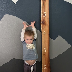 Live Edge Growth Chart - Redwood, Oak, Pine, Liquid Amber & Monterey Cypress