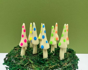 Fairy Garden Gnome Mushroom Glow in the Dark Mix - Set of 10