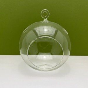 May include: A clear, spherical glass terrarium with a large opening and a small loop at the top for hanging. The transparent design allows for full visibility of the interior, perfect for displaying plants or decorative items. The terrarium is approximately 8 inches in diameter.