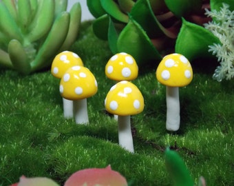 Fairy Garden Miniature Ball Mushrooms Yellow Set of 5 - succulent cactus dish terrarium garden