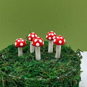 Fairy Garden Miniature Ball Style Mushrooms - Red