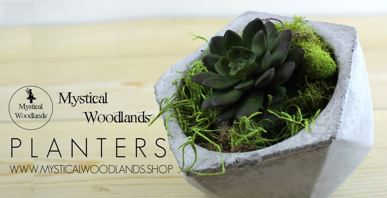 Cement Geometic Gem Planter for Succulents Cactus Arrangements