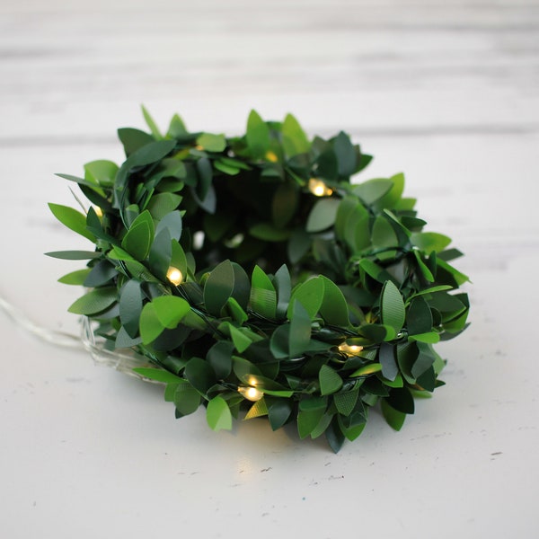 Fairy Garden Leaf Fairy Lights LED Soft White 6 Foot Strand