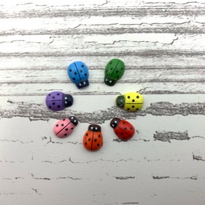 May include: Seven wooden ladybugs in different colors, including blue, purple, pink, red, yellow, and green, arranged in a circle on a white wooden surface.