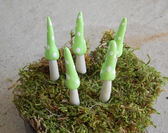 Fairy Garden Gnome Mushrooms Pastel Green set of 5 - miniature garden succulent terrarium dish accessories