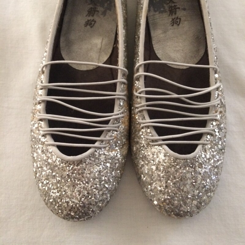 Sparkly Silver Shoes