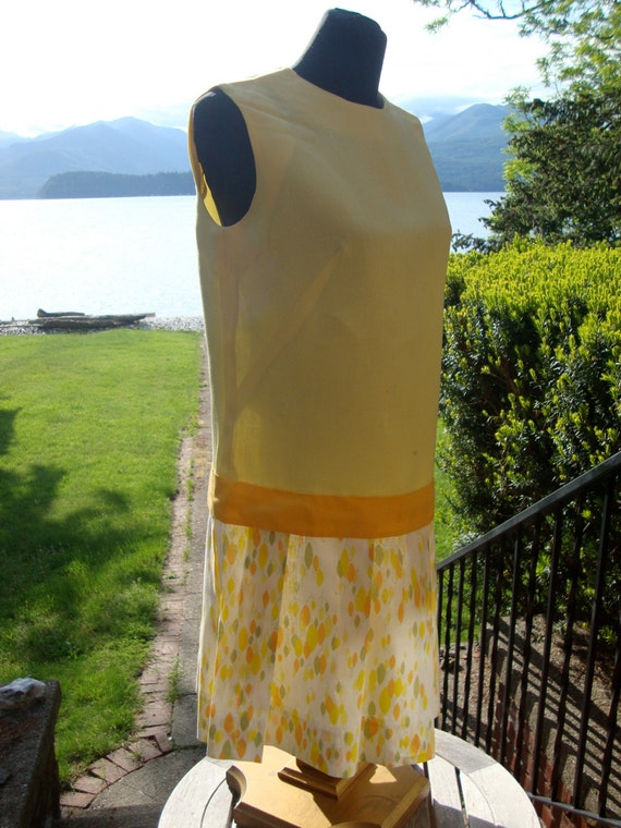 Filmy and Fun Summer Dress from the 60s