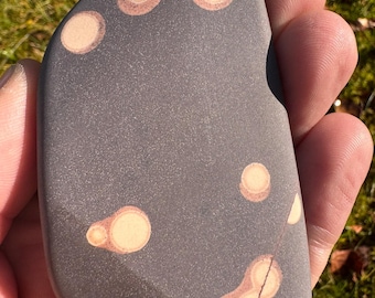 Astronomite 4 – Rare Cosmic Siltstone from Australia | Grounding Starseed Stone | Stillness | Deep Meditation | Energy Tool | Esoteric Earth