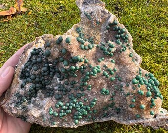 Rare Botryoidal Malachite on Quartz –2.2kgs Vintage Mindigi Mine Congo Specimen | Collector Grade African Malachite Mineral