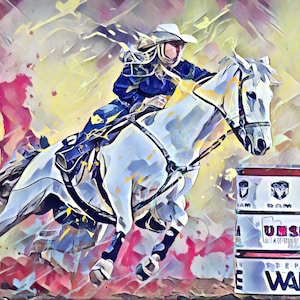 Barrel Racing - The Rodeo Series - a limited signed and numbered print
