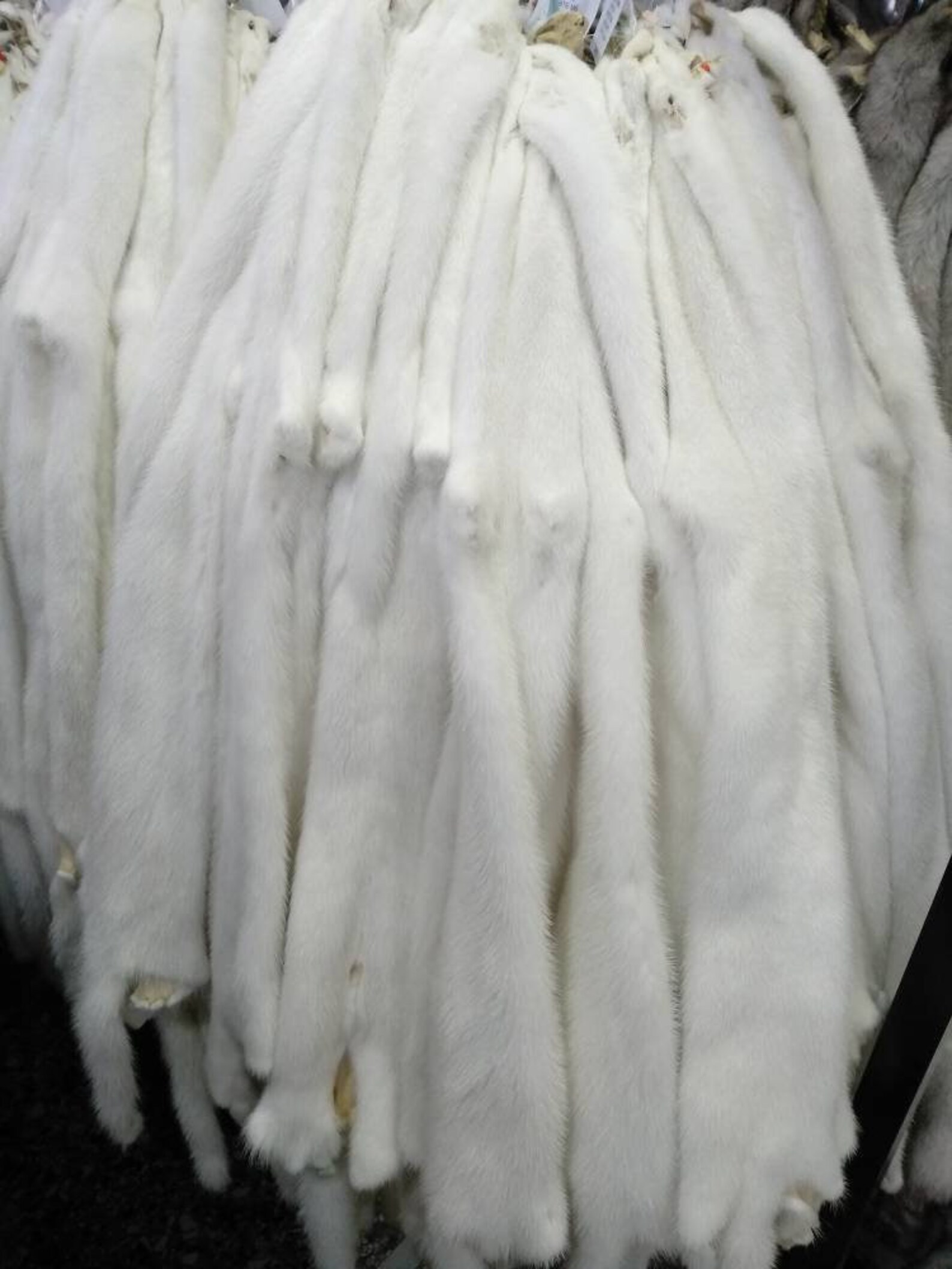 White Mink Pelts in Excellent Quality for Making Fur Vest Etsy