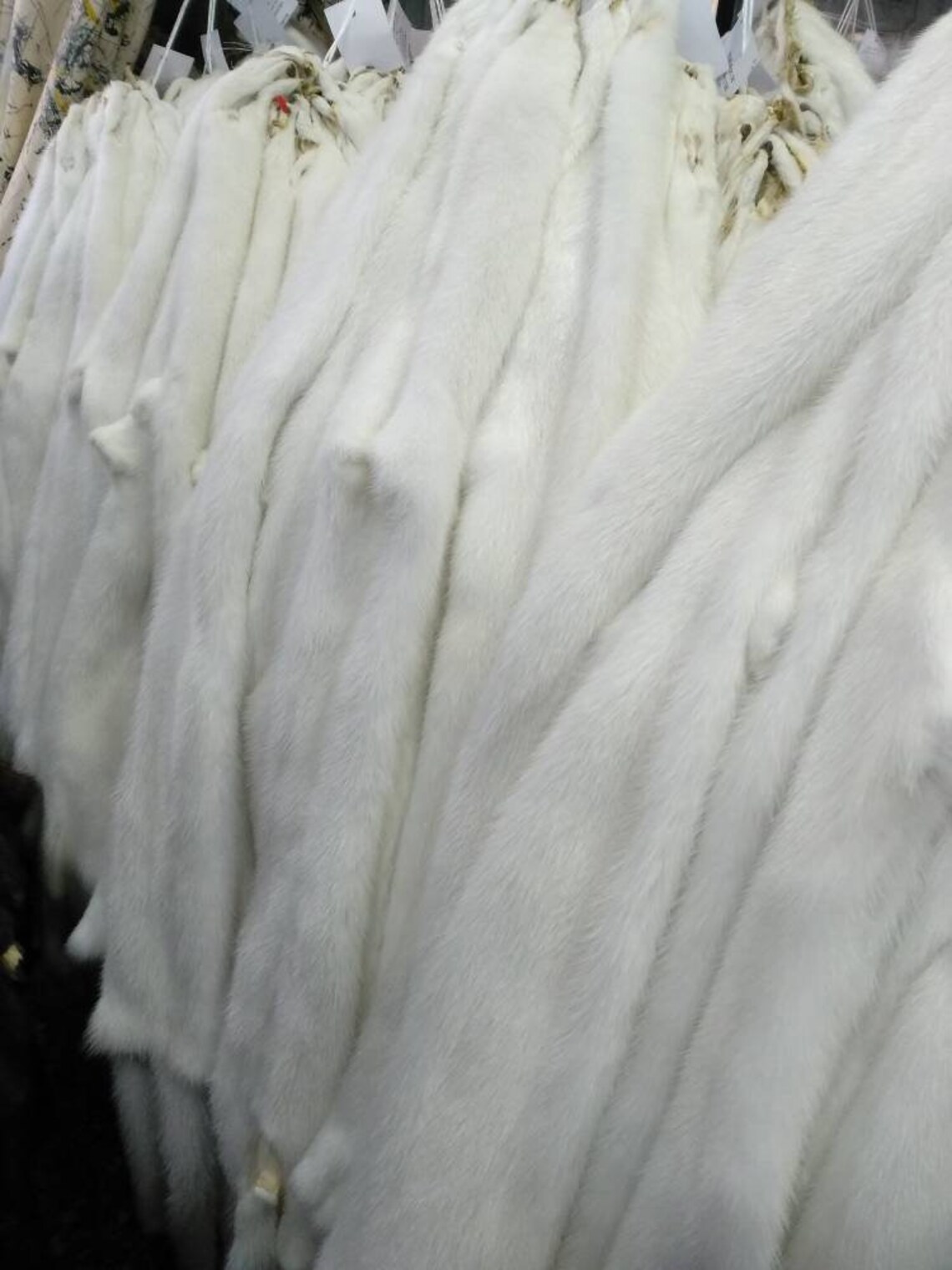 White Mink Pelts in Excellent Quality for Making Fur Vest Etsy