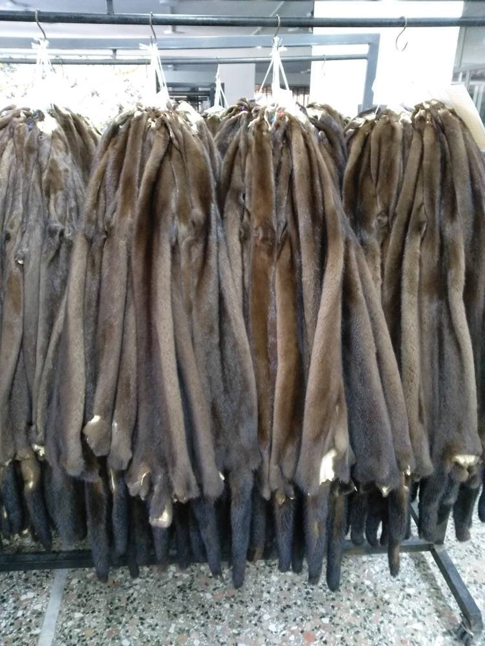Brown Mink Pelt Original Genuine Skin in Natural Color Premium Etsy