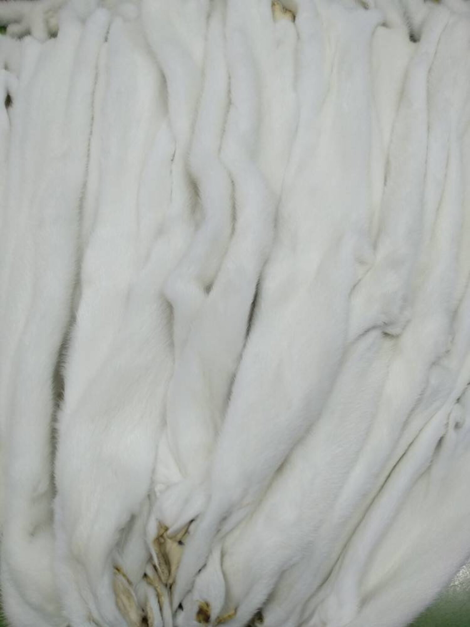 White Mink Pelts in Excellent Quality for Making Fur Vest Etsy