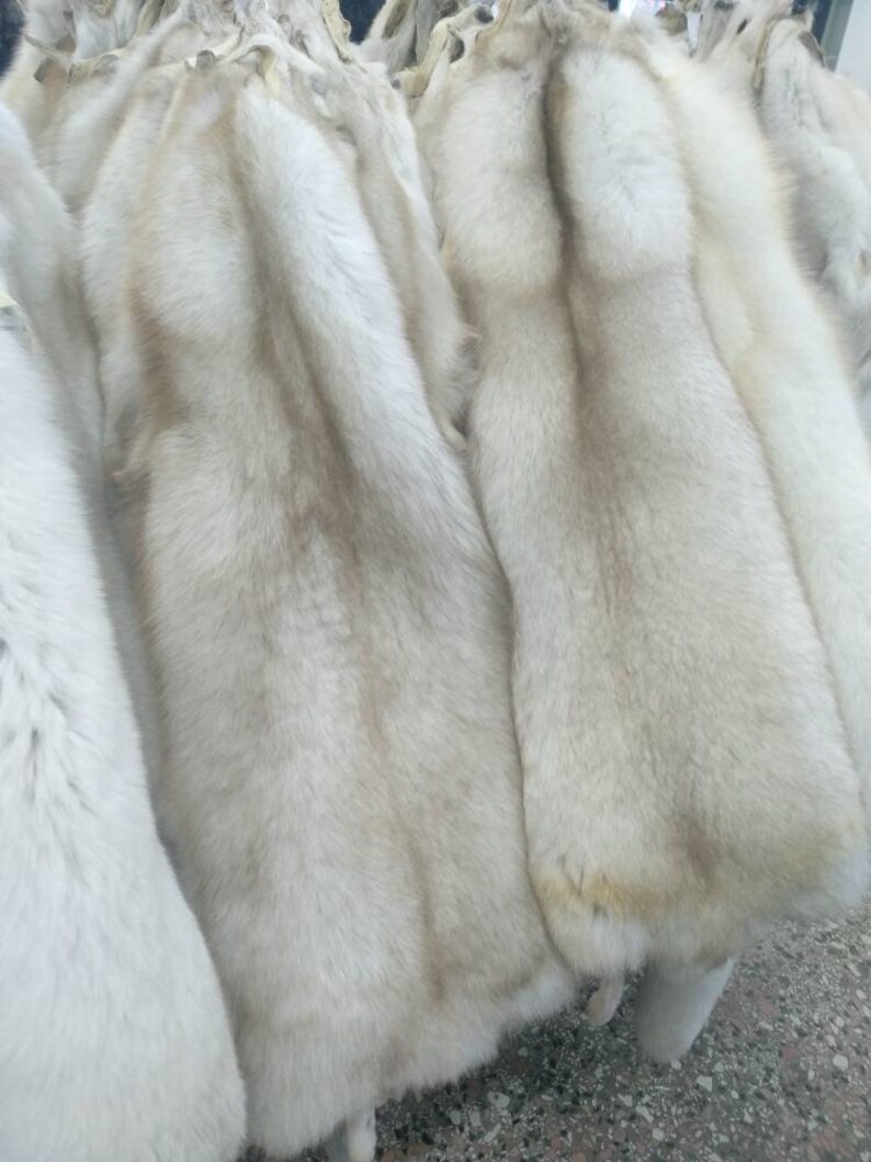 Blue Fox Pelts White Grey Natural Color Very Big for Making Etsy