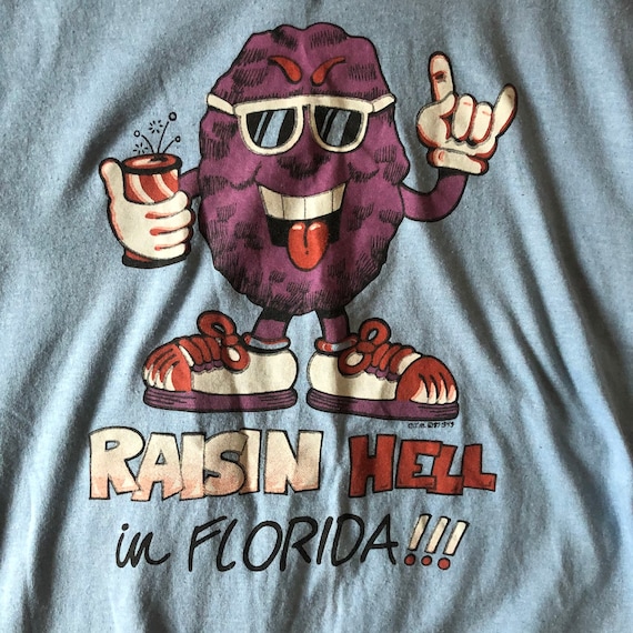 Vintage Raisin Hell in Florida Nightie Night gown
