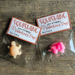 Squishie Bag Topper Valentinstag Karte - Schreiben Sie Ihren eigenen Namen (nicht personalisiert)