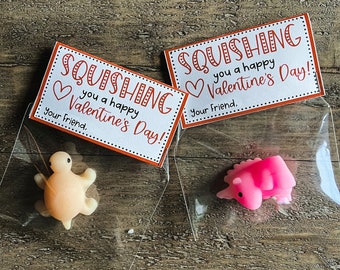 Squishing You a Happy Valentine&#39;s Day Squishie Bag Topper Valentine Card- Write Your Own Name (Not Personalized)
