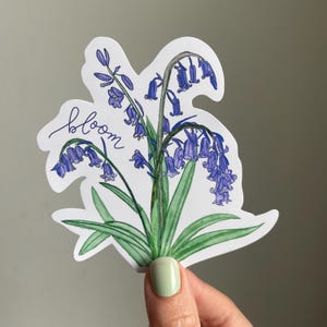 Blüte Glockenblume Vinyl Sticker