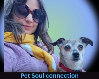 May include: A person with long hair wearing large dark-tinted sunglasses and a yellow scarf over a light purple top, positioned next to a small dog with a grey and white face wearing a red collar. The text Pet Soul connection is at the bottom.