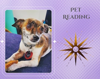 May include: A brown and white chihuahua dog with a black collar and a tag that says "Buster" is lying on a purple yoga mat. The image has the text "PET READING" in white letters on a purple background.