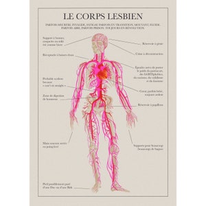 Poster print illustration A3 The Lesbian Body anatomical plate