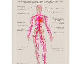 Poster print illustratie A3 het anatomische bord van het lesbische lichaam