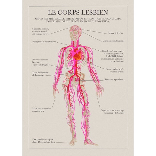 Affiche tirage illustration A3 le Corps lesbien planche anatomique