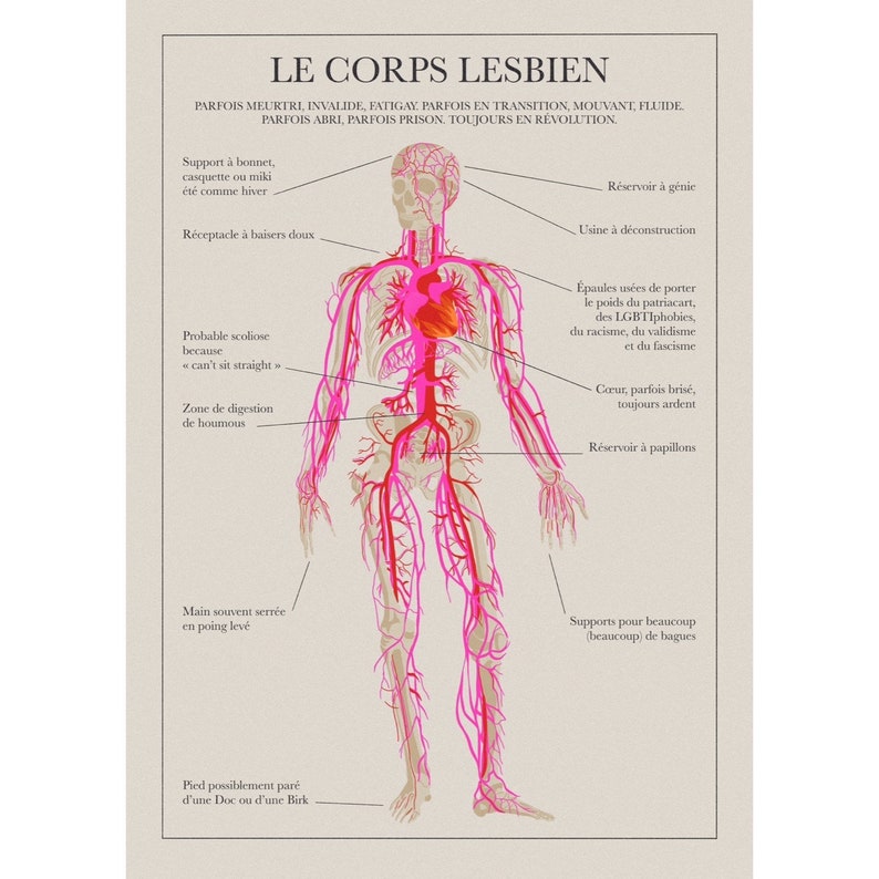 Affiche tirage illustration A3 le Corps lesbien planche anatomique image 1