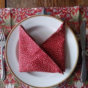May include: A red and white polka dot napkin folded into a triangle shape on a white plate with a gold rim. The plate is on a red and green floral patterned placemat.
