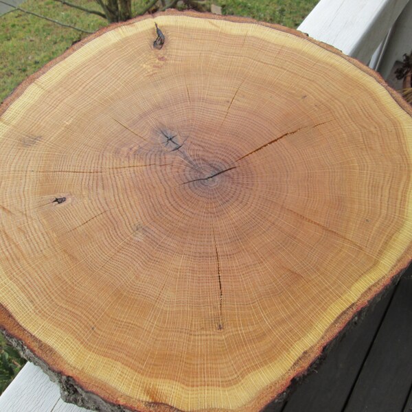 RESERVED - LA TOYA  15-17" Rustic Wood Slab from Tree Slice from Tree Trunk - Perfect for Wedding Cake Base or Centerpiece