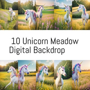10 Unicorn Digital Backdrop, Fantasy Backdrops, Magical Background, Rainbow Overlay, Digital Studio Backgrounds