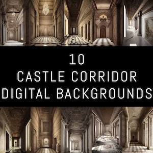 10 Castle Corridor Digital Backgrounds, empty castle corridor backdrop, fantasy castle overlay, instant download