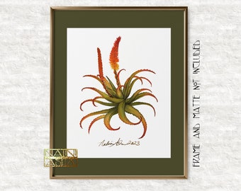 Blooming Aloe Vera plant fine art giclee print with COA 8"x10" signed by artist