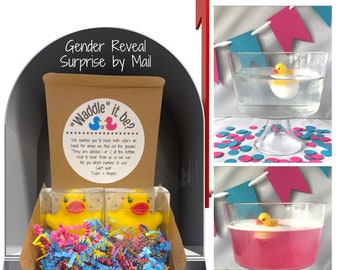 Set of 2 Waddle it Be? Rubber Duck Gender Reveal Fizz by mail | Pregnancy Announcement | Gift Box includes Customized Message