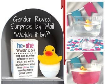 Waddle it Be? Rubber Duck Gender Reveal Fizz by mail | Pregnancy Announcement | Gift Box includes Customized Message
