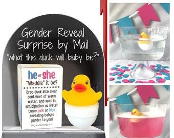 What the "Duck" will Baby be? Rubber Duck Gender Reveal Fizz Announcement by mail | Gift Box includes Customized Message