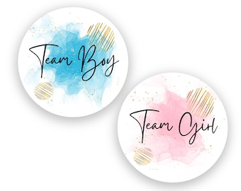 Team Boy & Team Girl Stickers for Gender Reveal  Vote Water Color Pink and Blue | Sheet of 20 2" Circle Stickers