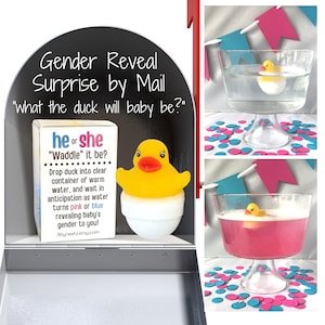 What the "Duck" will Baby be? Rubber Duck Gender Reveal Fizz Announcement by mail | Gift Box includes Customized Message